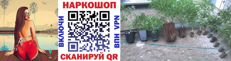 Купить закладку АМФЕТАМИН  Alpha-PVP  Меф  Кокаин  Кимовск